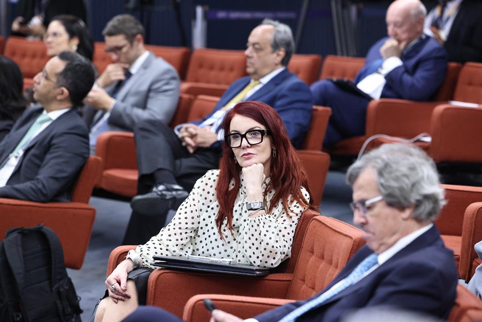 Asistentes a la XVI Conferencia pertenecientes a los distintos Tribunales constitucionales