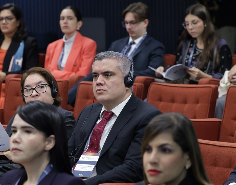 Asistentes a la XVI Conferencia pertenecientes a los distintos Tribunales constitucionales