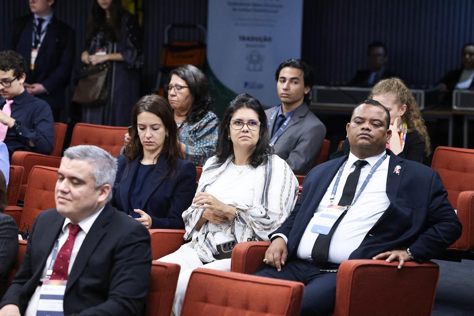 Asistentes a la XVI Conferencia pertenecientes a los distintos Tribunales constitucionales