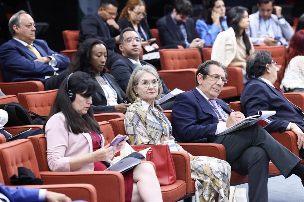 Asistentes a la XVI Conferencia pertenecientes a los distintos Tribunales constitucionales