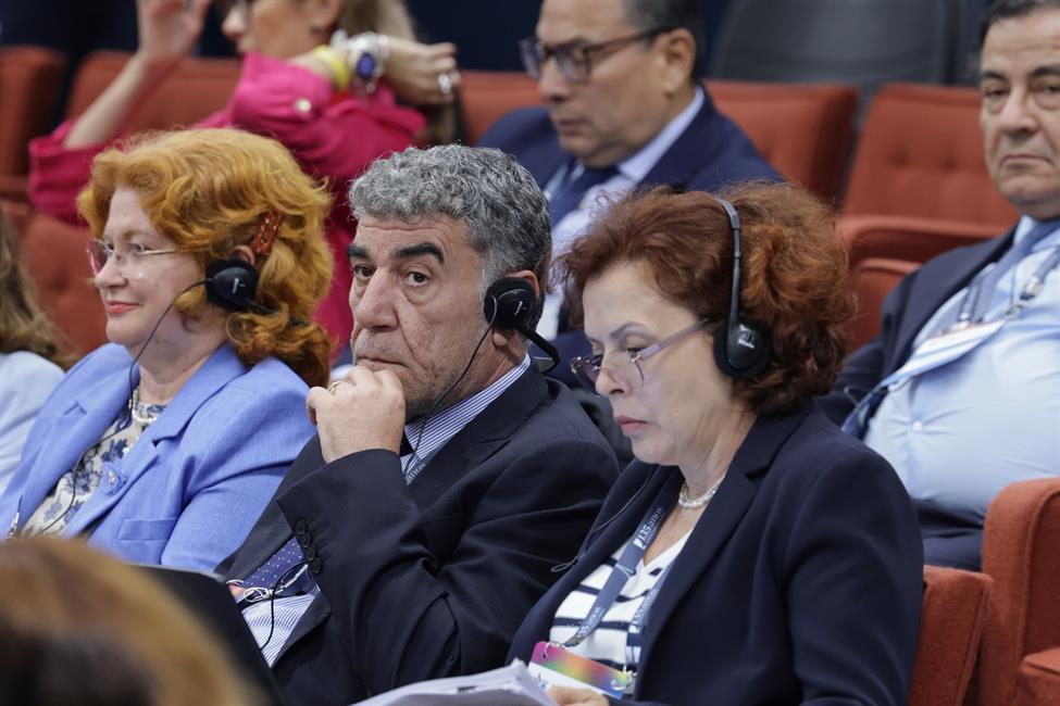 Asistentes a la XVI Conferencia pertenecientes a los distintos Tribunales constitucionales