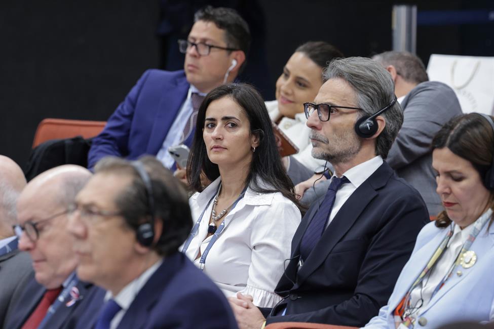 Asistentes a la XVI Conferencia pertenecientes a los distintos Tribunales constitucionales