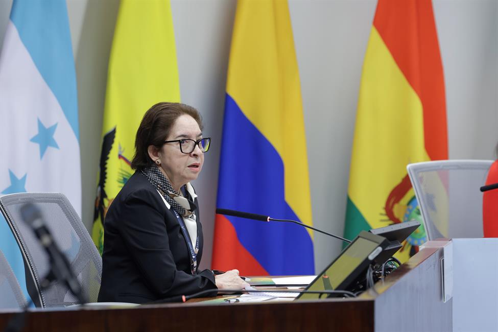 Sonia Dubón Villeda, magistrada de la Sala constitucional, Corte Suprema de Justicia de Honduras