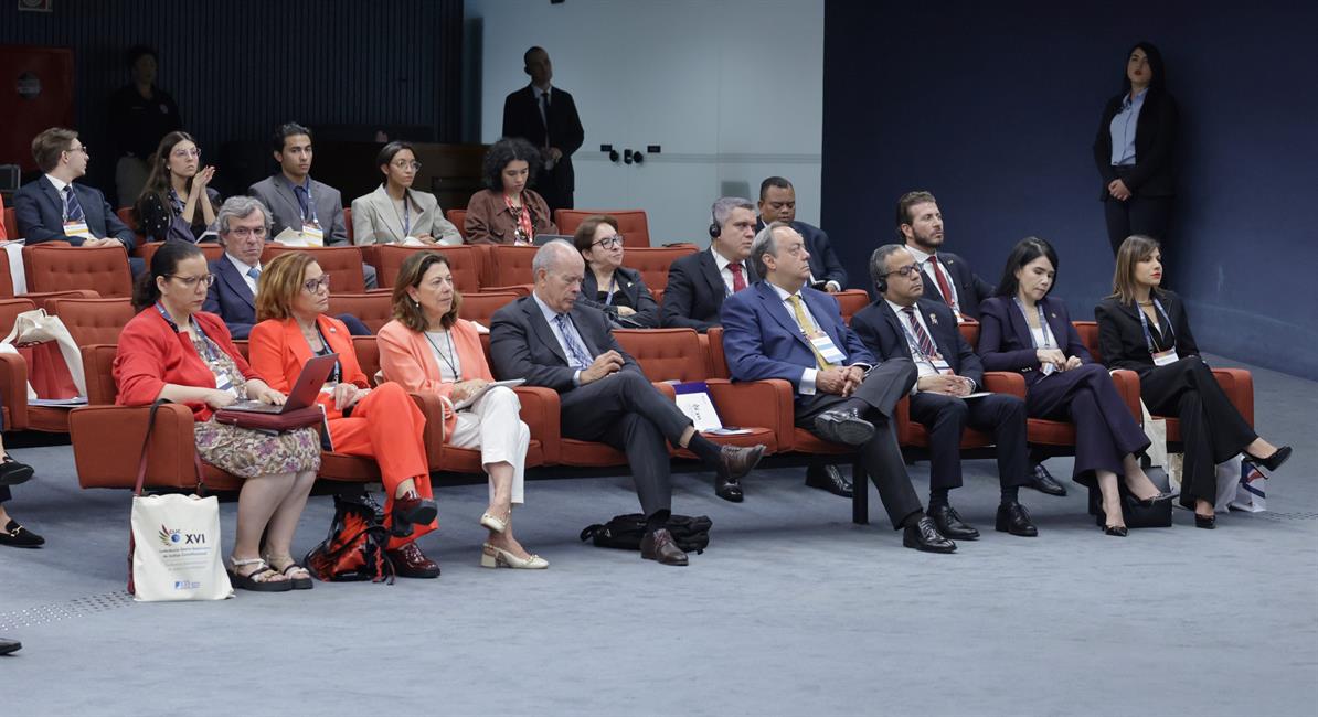 Asistentes a la XVI Conferencia pertenecientes a los distintos Tribunales constitucionales