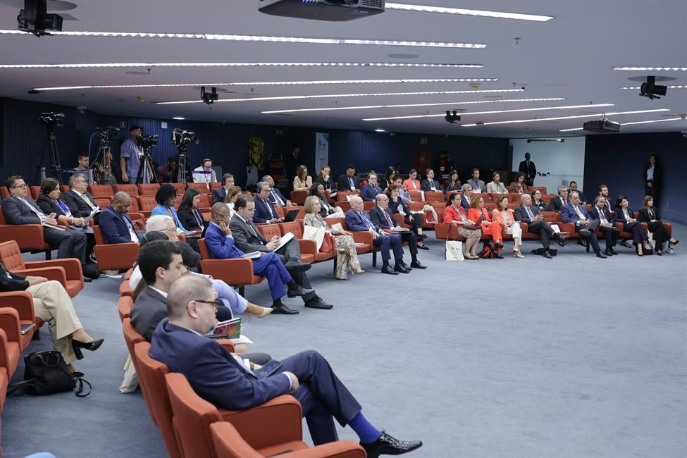 Asistentes a la XVI Conferencia pertenecientes a los distintos Tribunales constitucionales