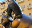 Imágen de la galeria fotográfica